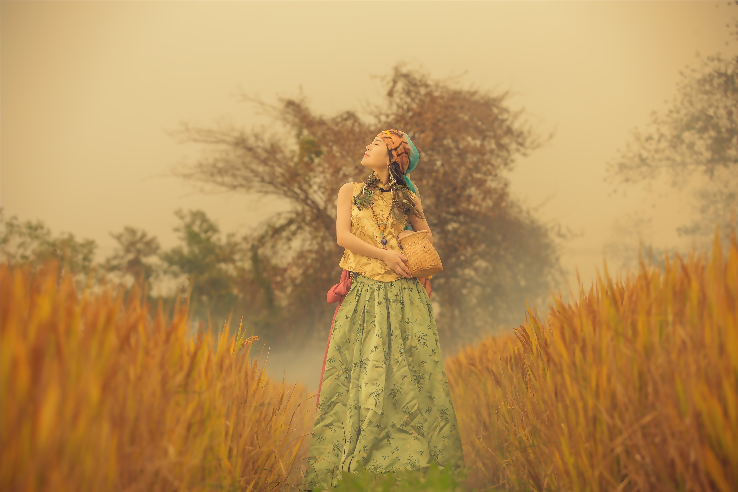 YITUYU艺图语 2021.07.02 稻花香 颗颗树